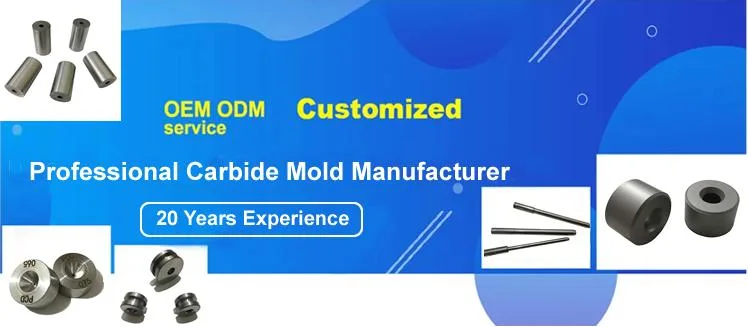 Cemented Carbide Moulds Cold Heading Dies in Cold Pressing Screw Rivets Bolts Nuts